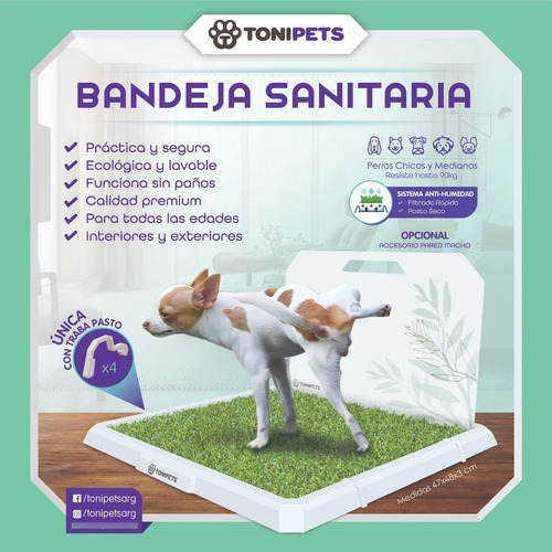Imagen 4 de 4 de Alfombra Sanitaria De Pasto Para Gatos Y Perros *premium*