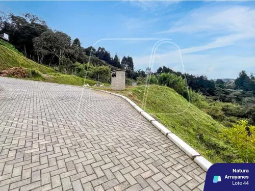 Lote Natura Arrayanes Guarne A 5 Min Del Aeropuerto