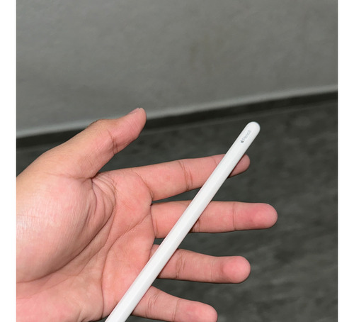 Apple Pencil 2a Gen Original (Usado)