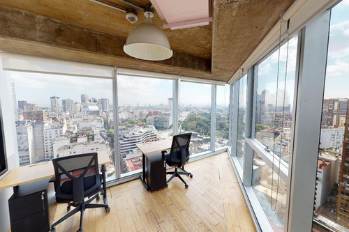 Imagen 14 de 25 de Torre Bellini | Piso Completo
