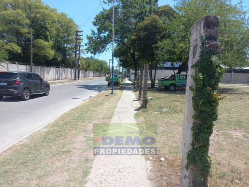 Imagen 14 de 25 de Terreno - Pablo Nogues