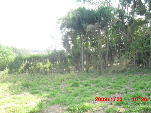 Imagem 4 de 13 de Terreno Próximo A Cidade
