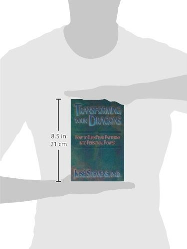 Transforming Your Dragons: How To Turn Fear Patterns Into P, De Jose Stevens. Editorial Bear & Company, Tapa Blanda En Inglés, 0000