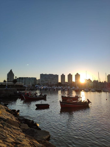 Imagen 7 de 23 de Departamento - Puerto Buceo