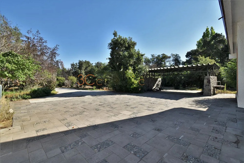 Inmobiliaria / Camino San Francisco De Asis / Cantagallo