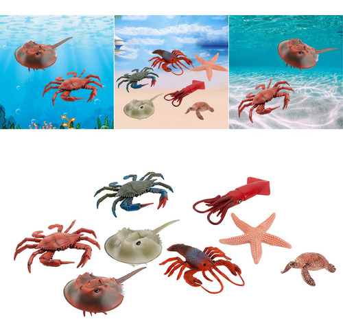 Colección De Regalos De Cumpleaños De Marine Life Animal