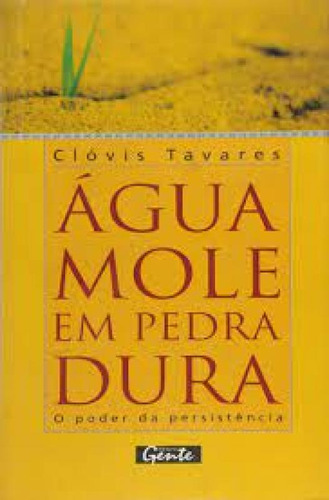 AGUA MOLE EM PEDRA DURA - TANTO BATE ATE QUE..., de Henio  Tavares. Editora Gente, capa mole em português