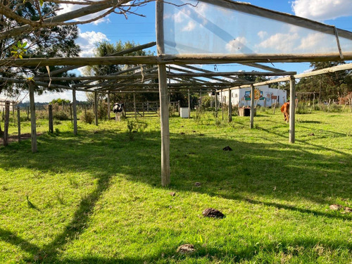 Chacra 21hás En Cuchilla Alta