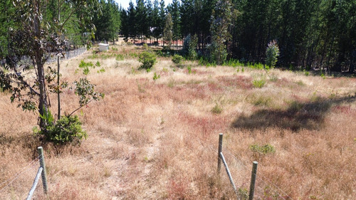 Se Vende Parcela Orilla Carretera Lomas De Pichilemu