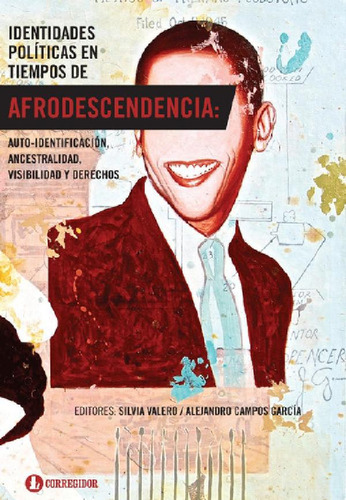 Libro - Identidades Politicas En Tiempos De Afrodescendenci