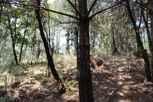 Imagen 2 de 10 de Terreno En Paraje Tetecuintla, Huitzilac, Morelos.