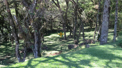 Imagem 1 de 17 de Terreno Residencial Em Condomínio - 816