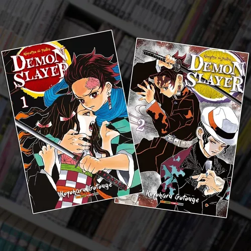 Demon Slayer Kimetsu No Yaiba, Mangá Vol. 1 E 2