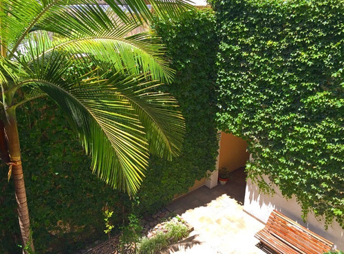Imagen 7 de 14 de Rosario Bear Apartments
