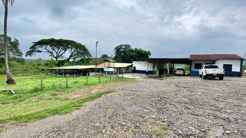 Imagen 6 de 25 de Jd. Se Vende Hermosa Finca En San Antonio De Caparo