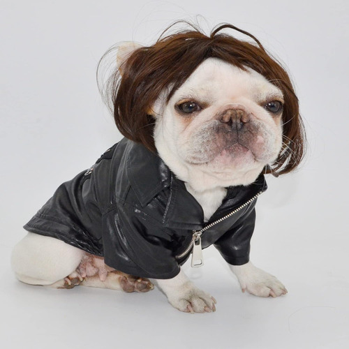 Peluca Para Mascota De Estilo Carré, Flequillo Recto, Marrón