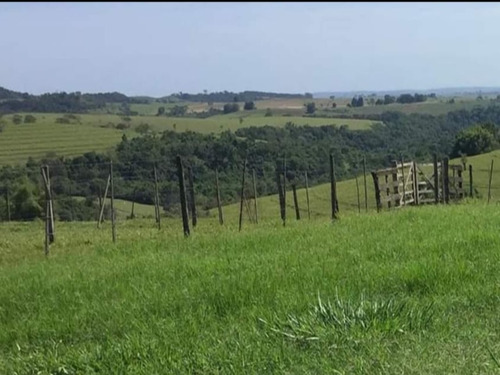 Fazenda À Venda Em Echaporã/sp - Fa00122 - 69026868