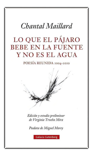 Libro Lo Que El Pajaro Bebe En La Fuente Y No Es El Agua