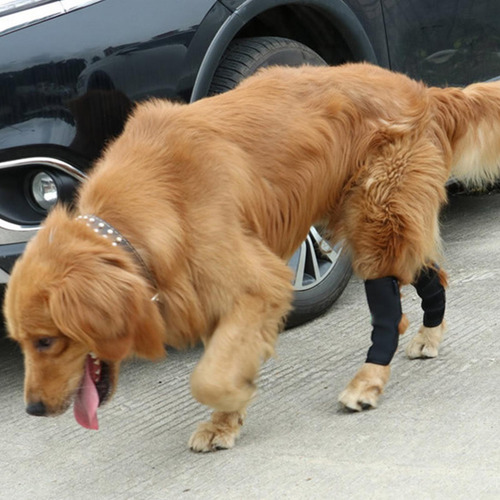Coderas Para Perros Manga De Brazo Para Perro Ajustable Y Có