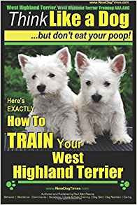 West Highland Terrier, West Highland Terrier Training Aaa Ak