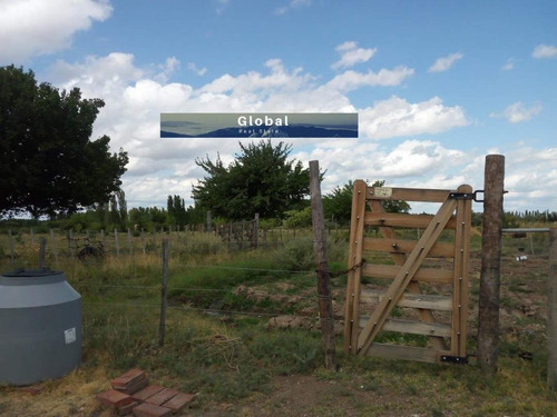 Imagen 25 de 26 de Excelente Finca De 31 Has En San Rafael , Mendoza Zona Vitivinícola Argentina