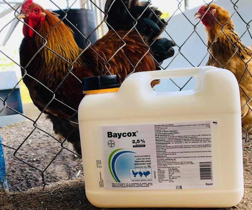 100 Ml De Baycox (elanco) A Granel Para Coccidia En Pollos