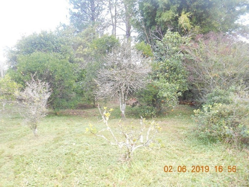 Chácara 5.000 M² - Vila Nova - Glorinha - Rs - 2173 - 34266631