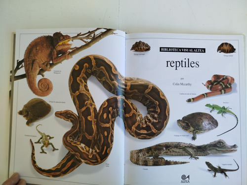 Libro Los Reptiles-biblioteca Visual Altea-1991