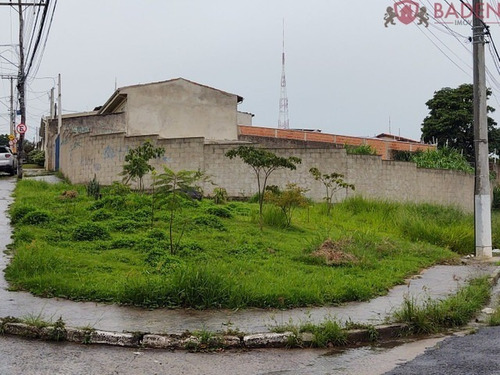 Imagem 4 de 6 de Terreno - Te00503