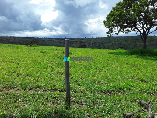 Imagem 6 de 15 de Fazenda - Zona Rural - Ref: 3829 - V-mta3829
