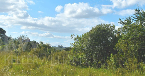 Se Vende Chacra Maldonado Pueblo Edén 11 Has Usd 140000
