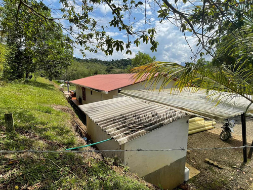 Imagen 28 de 30 de Espectacular Finca Clima Caliente En Venta Porce