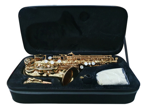 Saxofon Soprano Century Cnsx001-bg Sib Laqueado Abrazdera
