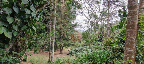 Imagem 5 de 30 de Chácara Com 3 Dormitórios À Venda, 96 M² Por R$ 3.450.000,00 - Colinas De Cotia - Cotia/sp - Ch0082