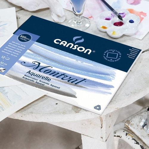 Imagen 6 de 8 de Set Acuarelas Winsor Cotman X 12 + Canson Montval Acuarela