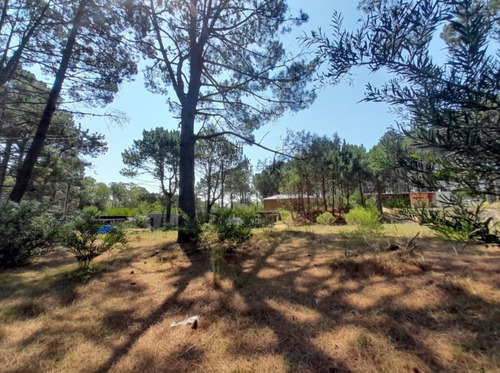 Imagen 6 de 7 de Terreno En Venta En Barra Verde