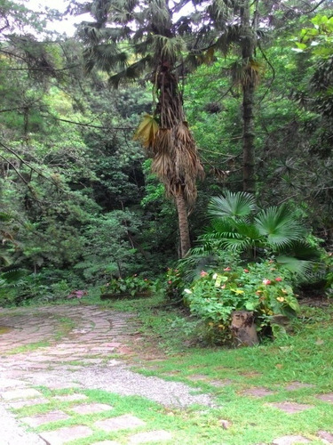Imagem 18 de 30 de Sitio - St00006 - 4310429
