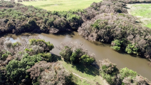 Imagen 6 de 12 de Chacras Venta Nueva Palmira Sobre Arroyo Navegable