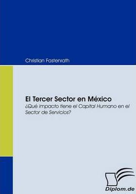 Libro El Tercer Sector En M Xico - Christian Fastenrath