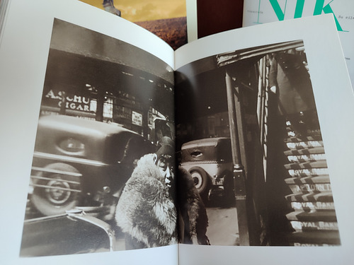 New York New York The City In Art And Literature (Usado)