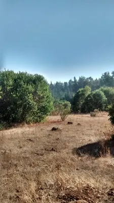 Parcela en venta
