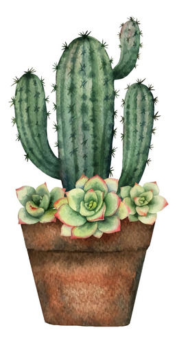 Vinilo Decorativo 20x30cm Cactus Con Flores Plantas M2