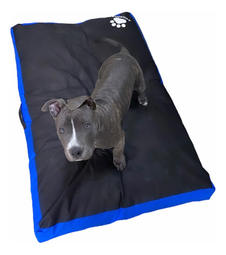 Cama Para Perros Medianos Antidesgarro/ Impermeable +cotitas