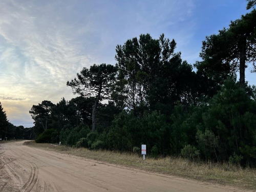 Imagen 1 de 1 de Lote En Venta Barrio Alamos Pinamar