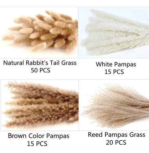 Decoración Seca Natural Capim Dos Pampas Plumas Con