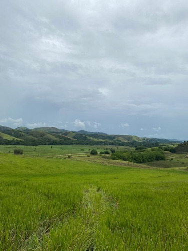 Imagem 27 de 28 de G12- Lotes A Venda