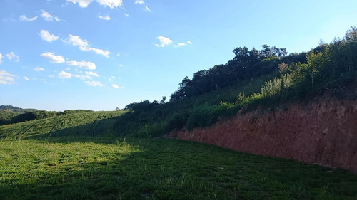Imagem 3 de 15 de Sítio / Chácara Para Venda Em Quitandinha, Abranches, 2 Dormitórios, 1 Banheiro, 1 Vaga - 151_2-1571968