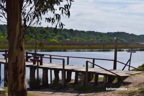 Ubicados En El Nuevo Fraccionamiento En Muelles De La Barra,