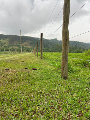 Imagem 6 de 14 de S01- 1.000m² Apenas 49.990 /100% Plano