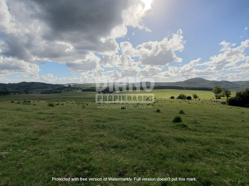 Campo En Ruta 8 - Marmarajá - Lavalleja